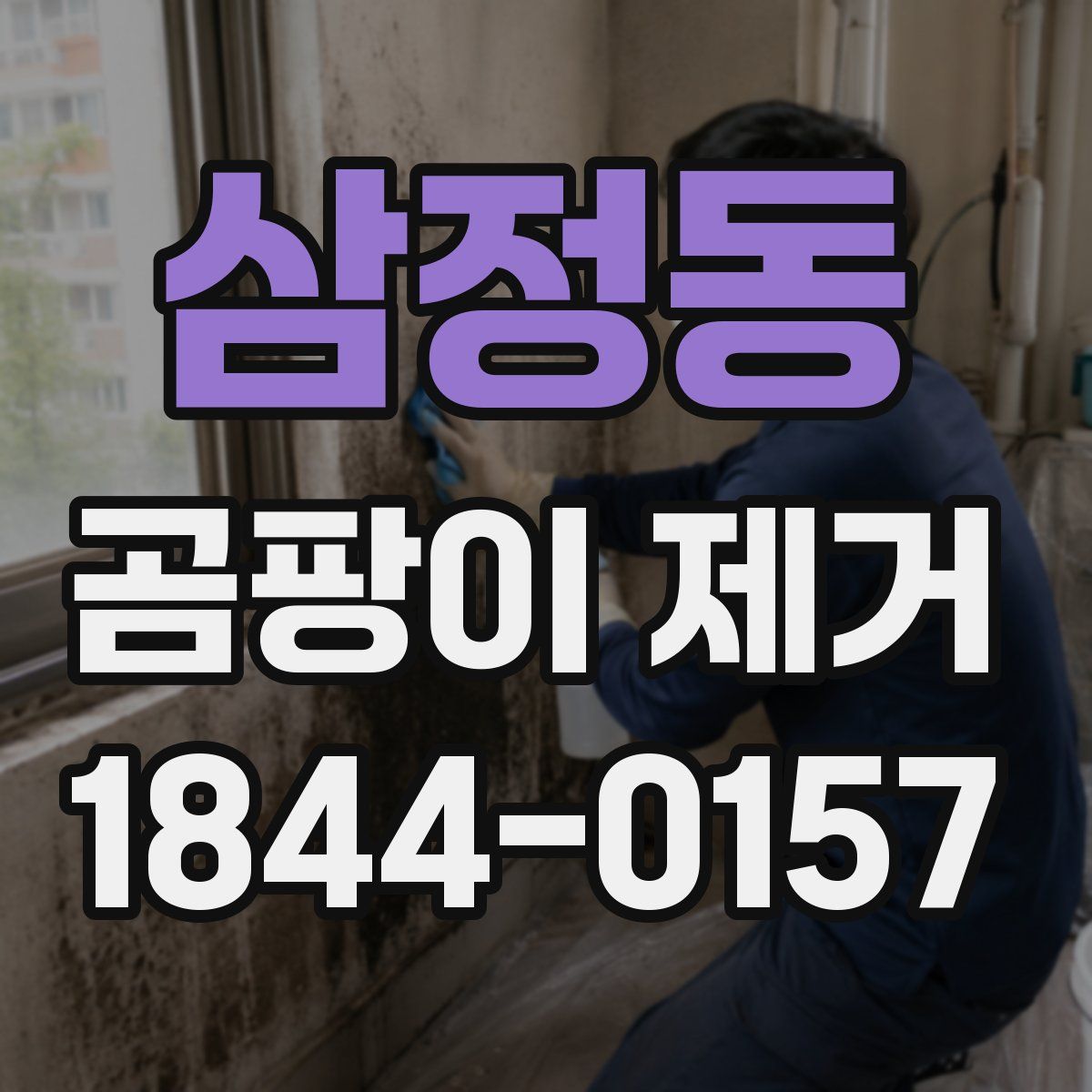 삼정동 곰팡이 제거