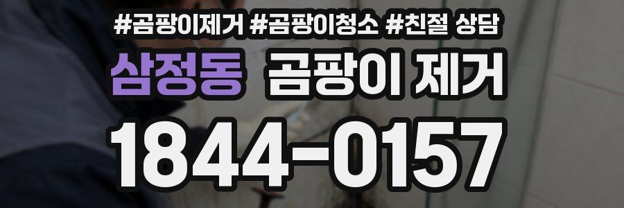 삼정동 곰팡이 제거