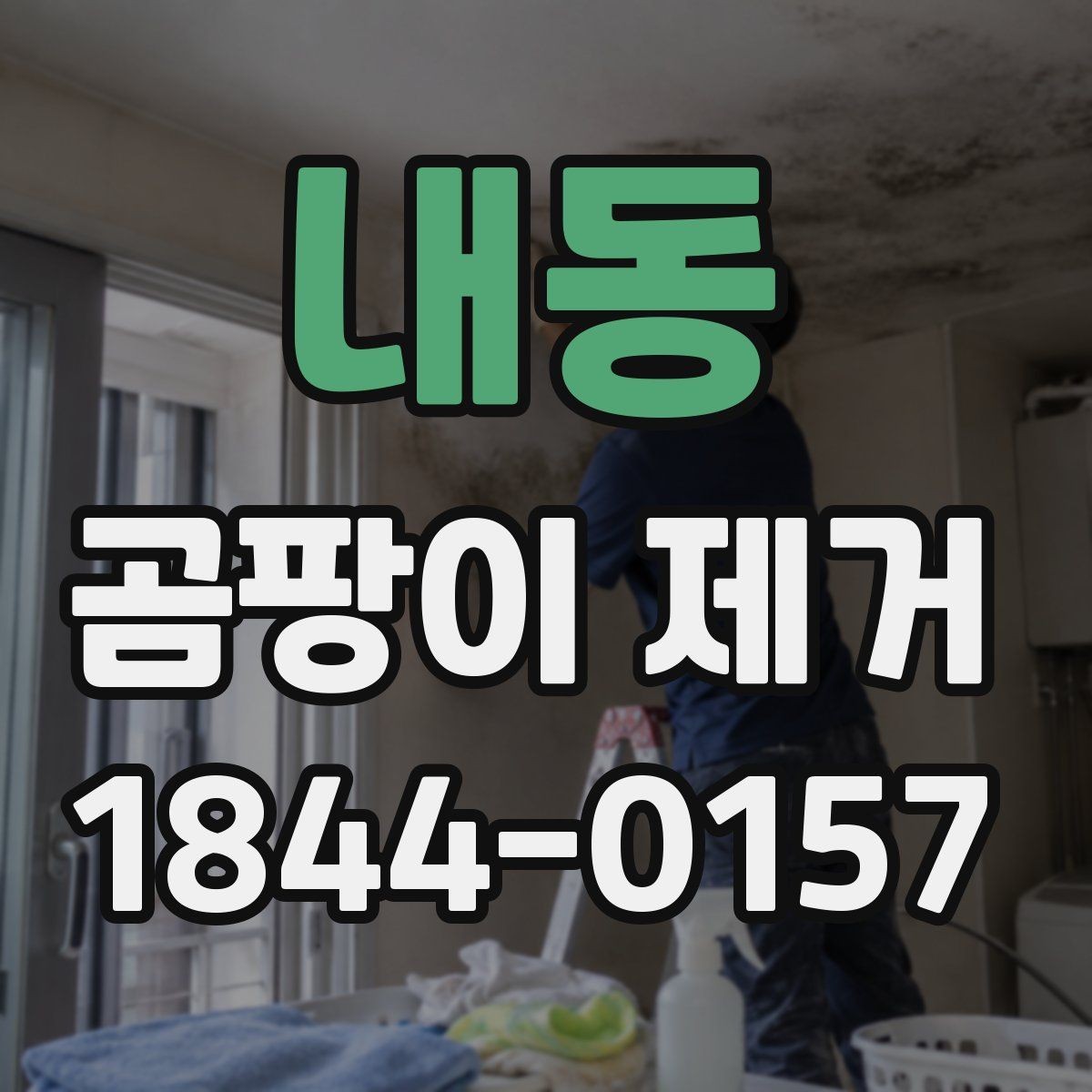 내동 곰팡이 제거 실내 공기 관리까지 함께 살펴보기
