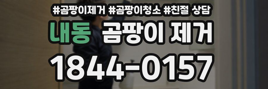 내동 곰팡이 제거