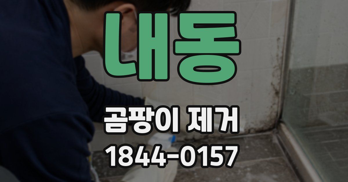 내동 곰팡이 제거