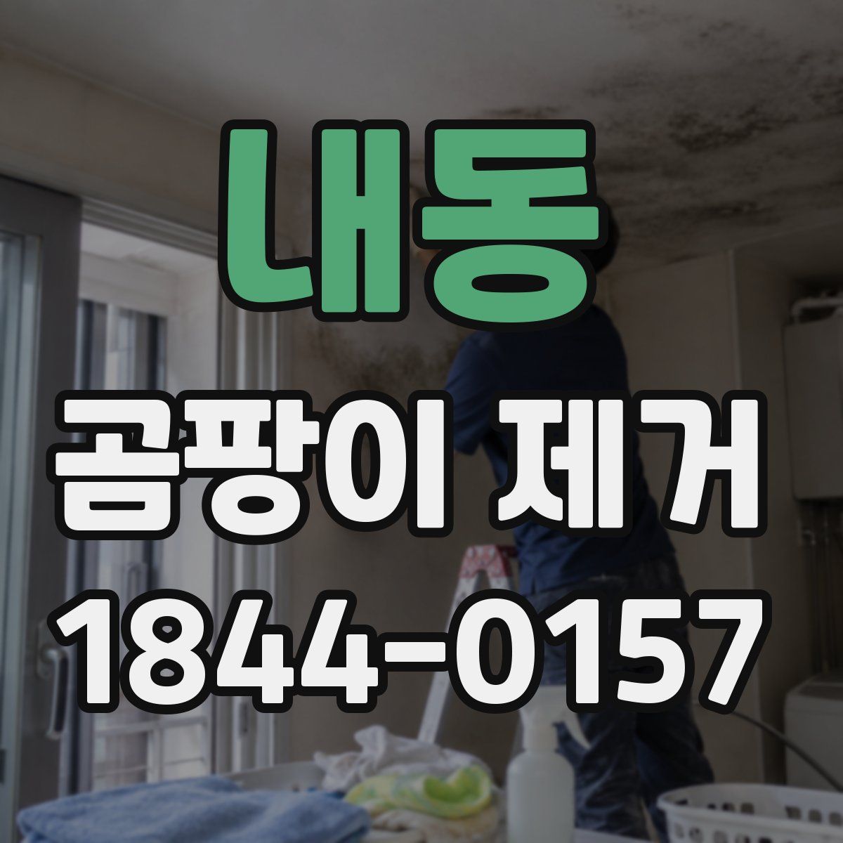 내동 곰팡이 제거