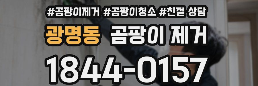 광명동 곰팡이 제거