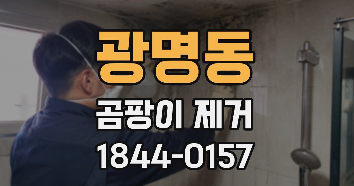 광명동 곰팡이 제거