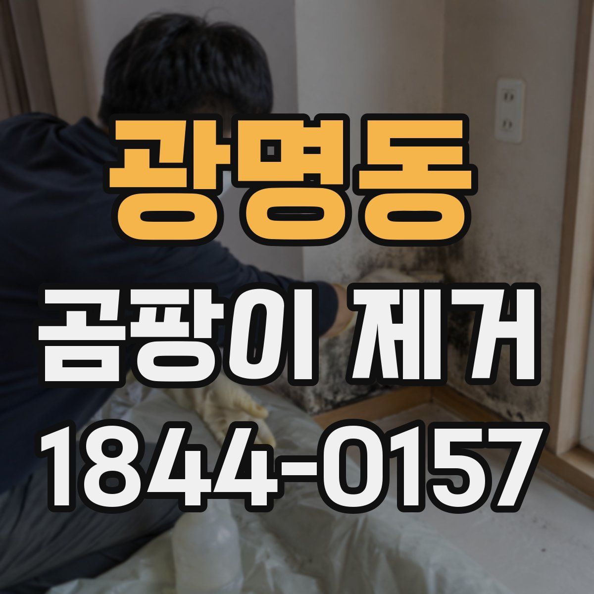 광명동 곰팡이 제거