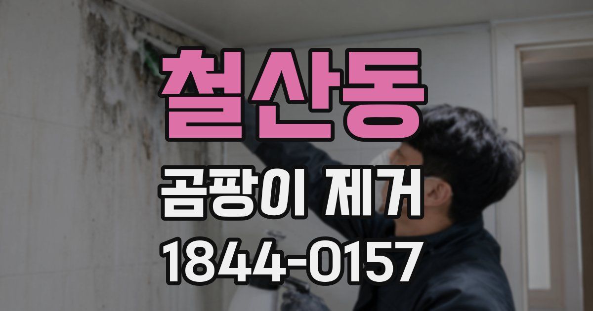 철산동 곰팡이 제거