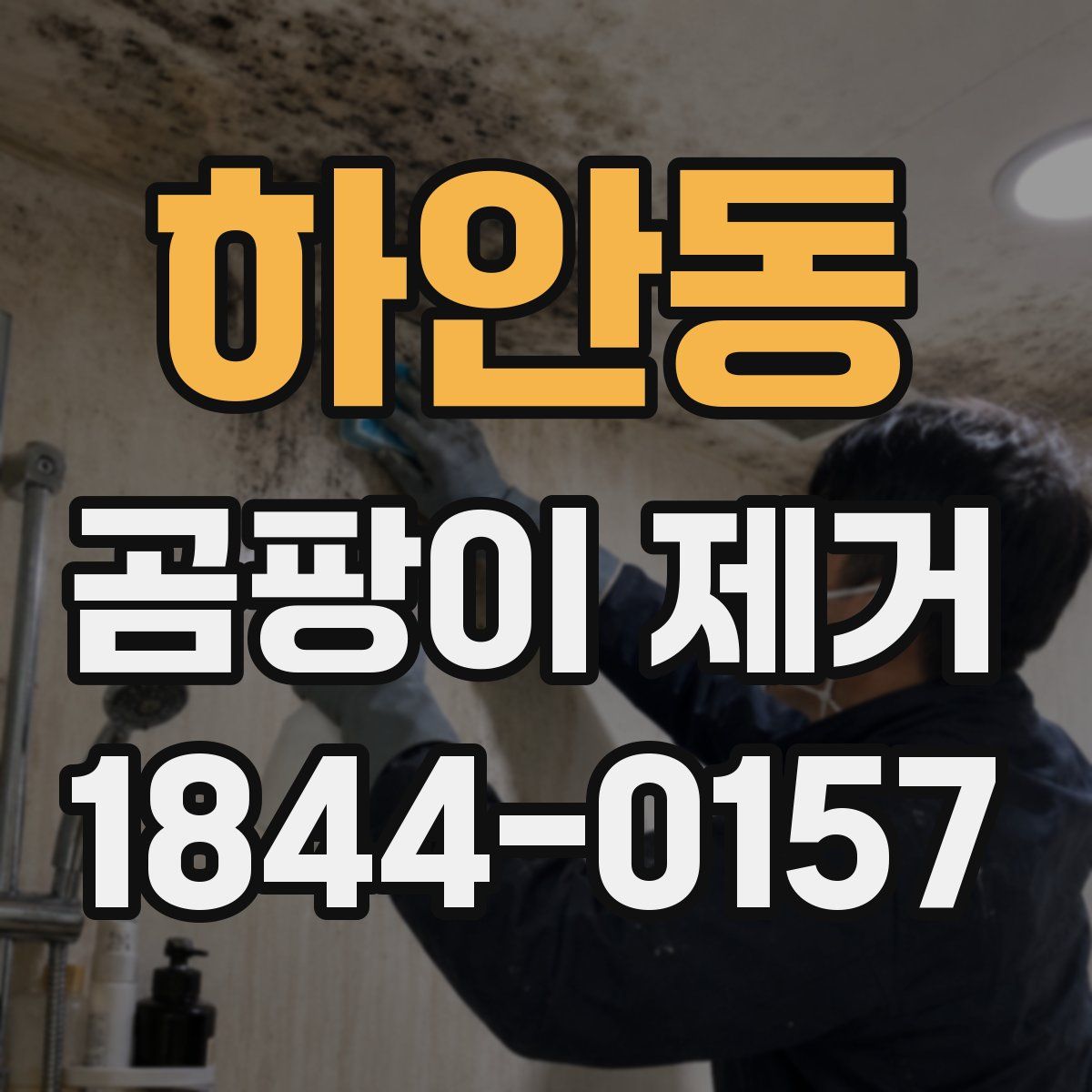 하안동 곰팡이 제거