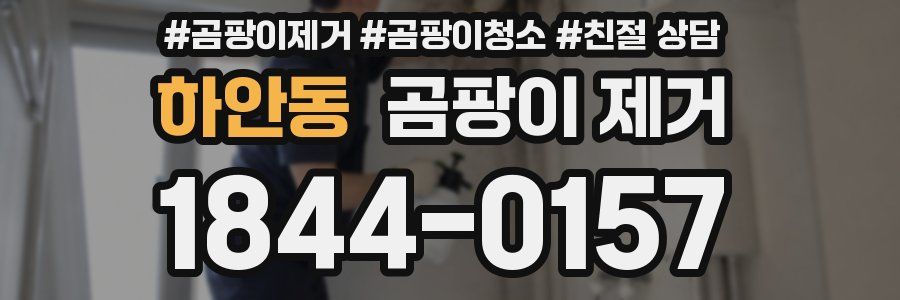 하안동 곰팡이 제거