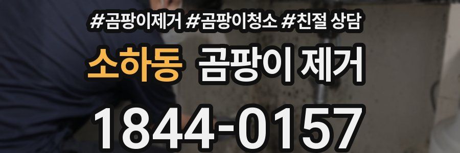 소하동 곰팡이 제거