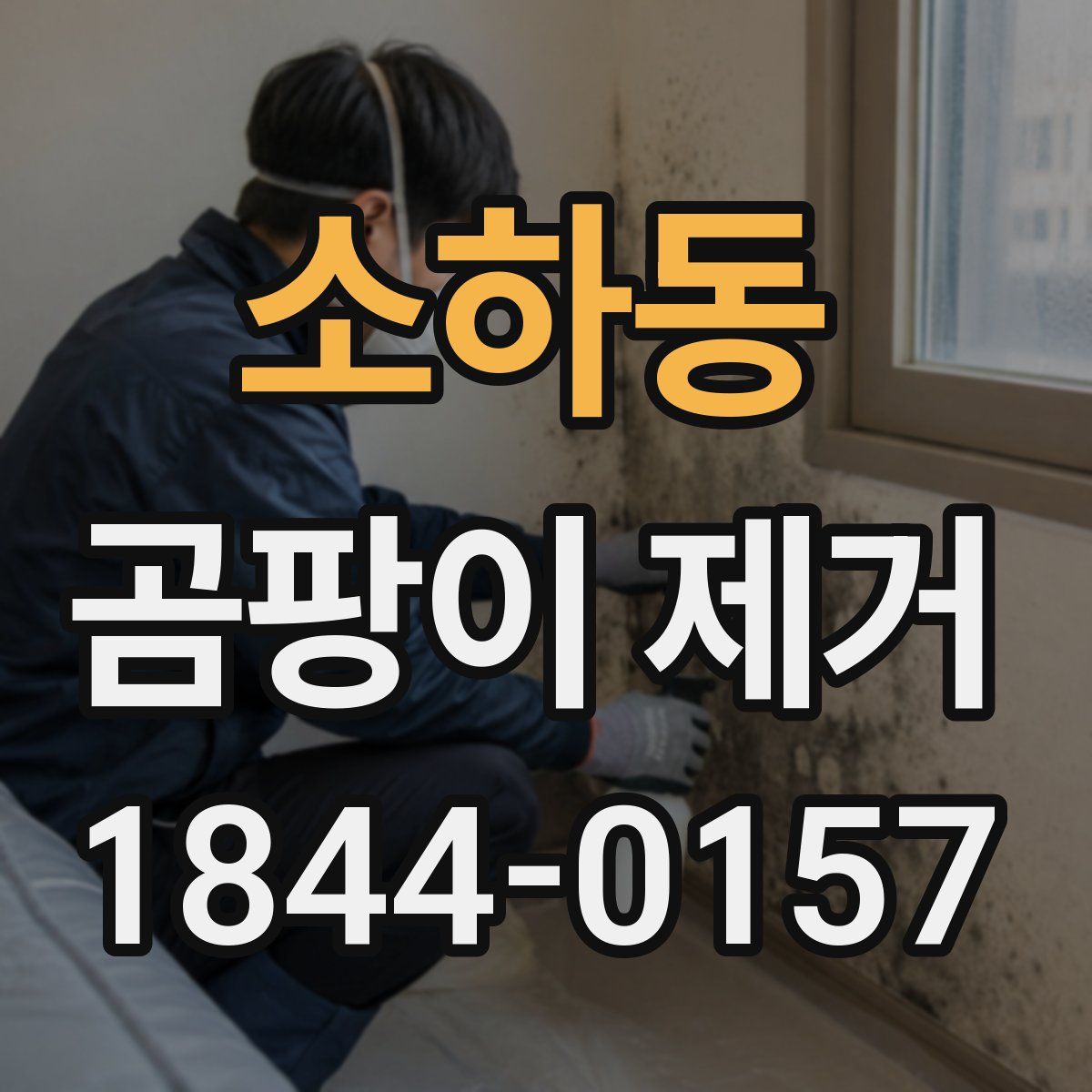 소하동 곰팡이 제거