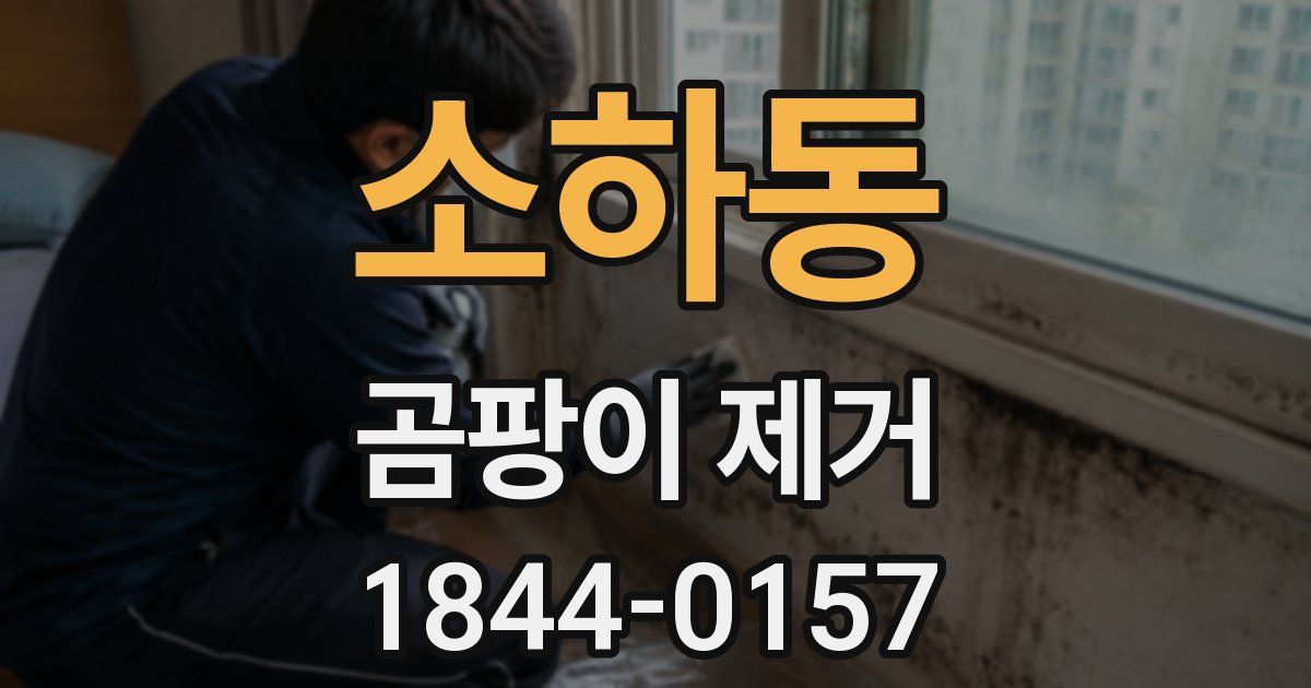소하동 곰팡이 제거