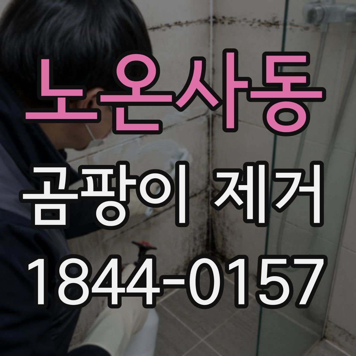 노온사동 곰팡이 제거