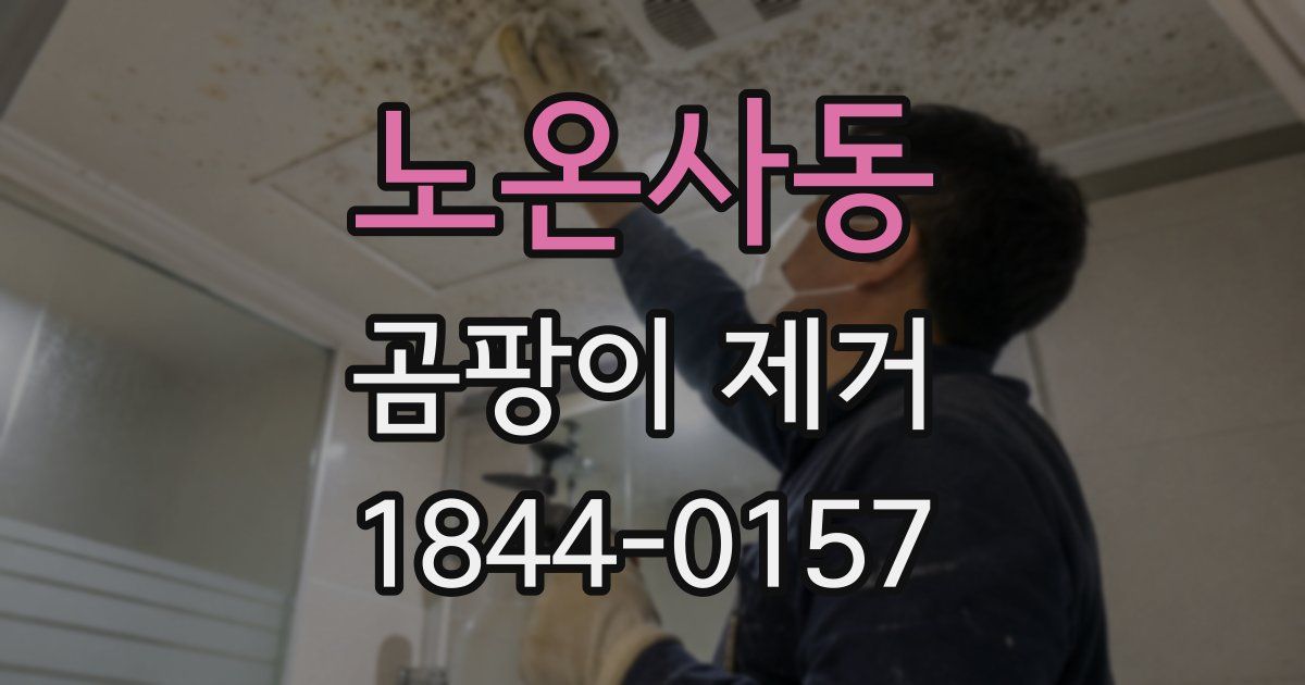 노온사동 곰팡이 제거