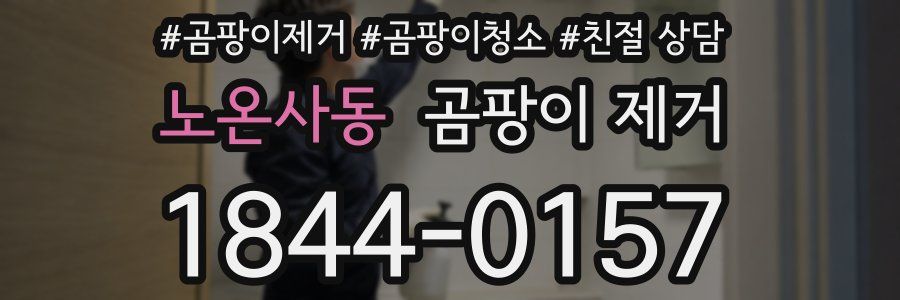 노온사동 곰팡이 제거