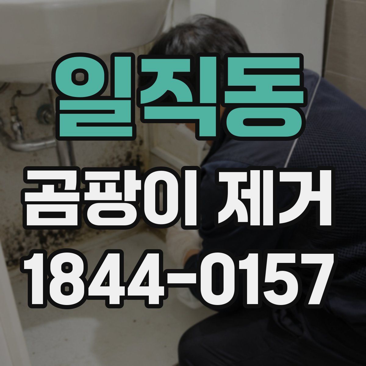 일직동 곰팡이 제거