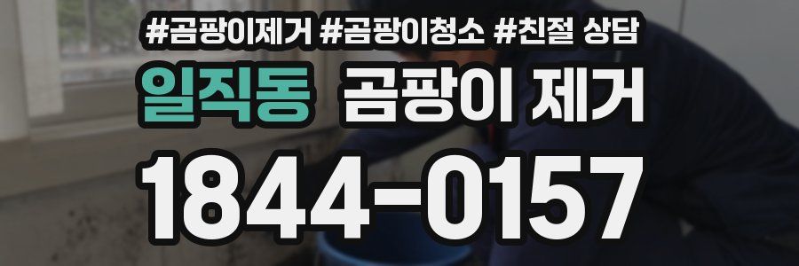 일직동 곰팡이 제거