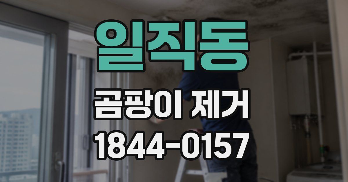 일직동 곰팡이 제거