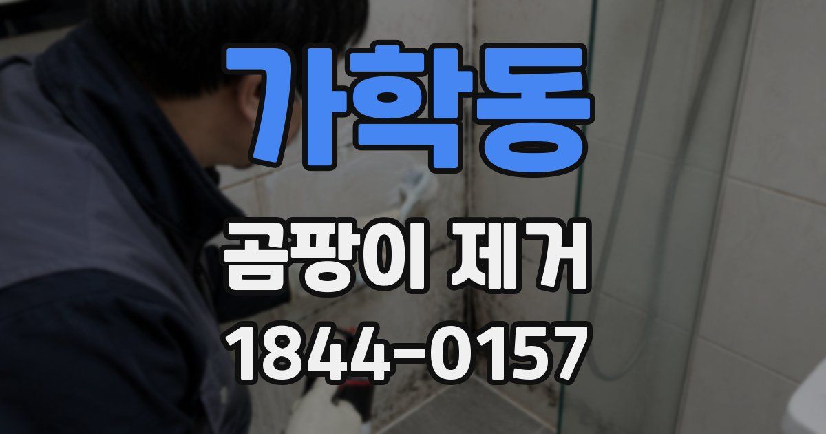 가학동 곰팡이 제거