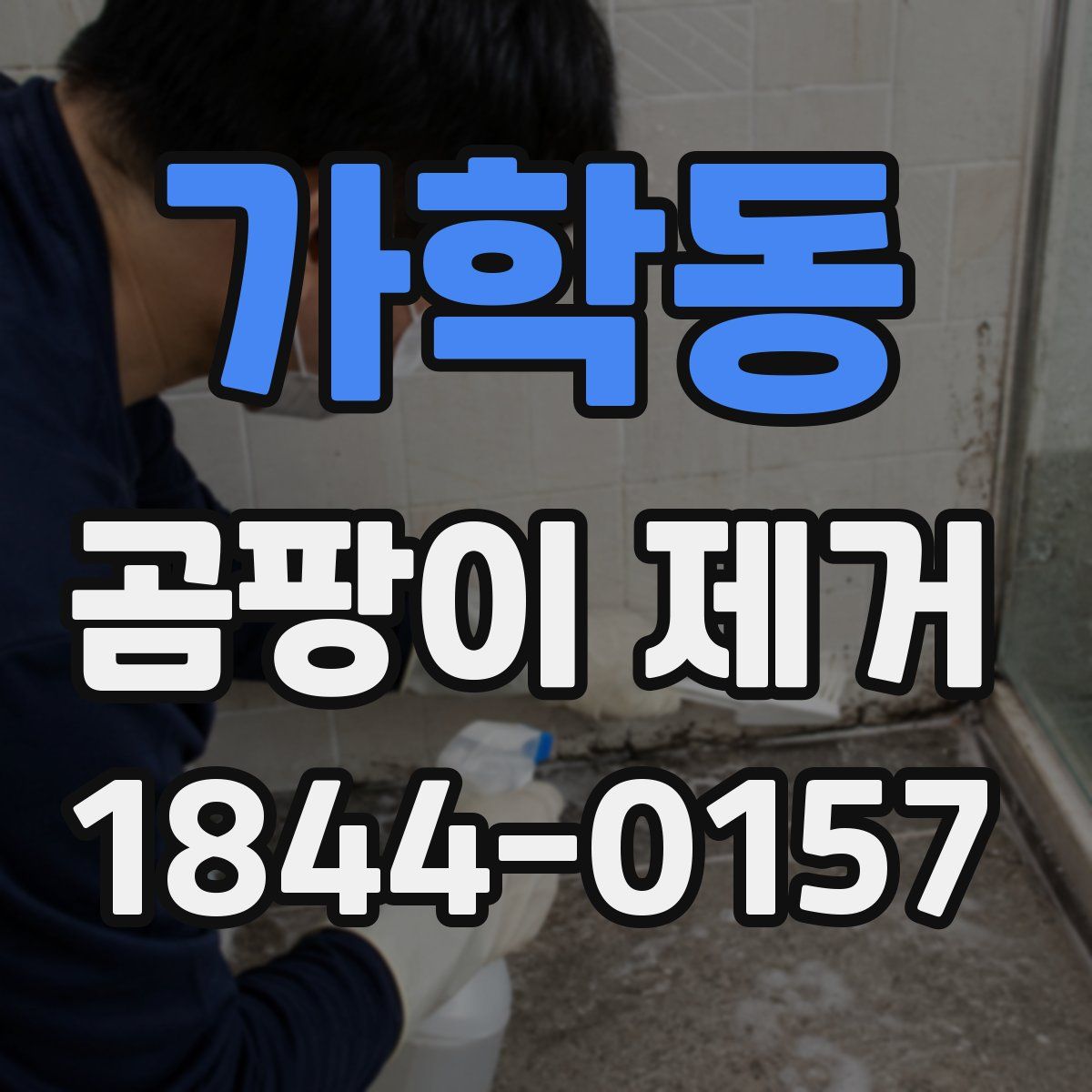 가학동 곰팡이 제거