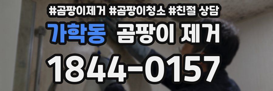 가학동 곰팡이 제거