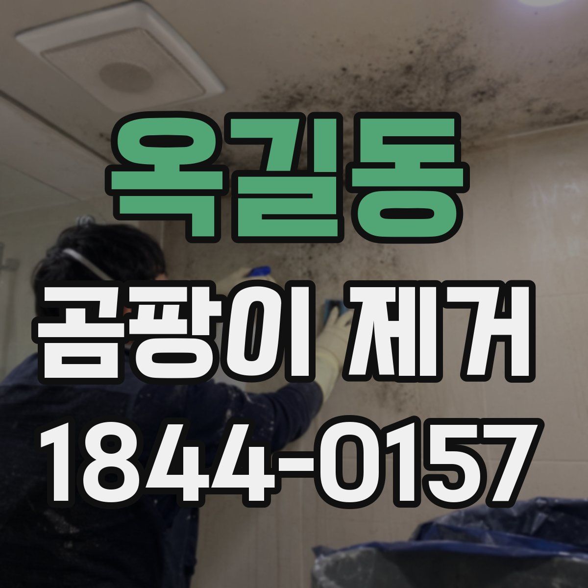 옥길동 곰팡이 제거