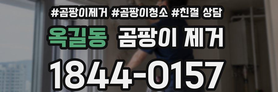 옥길동 곰팡이 제거