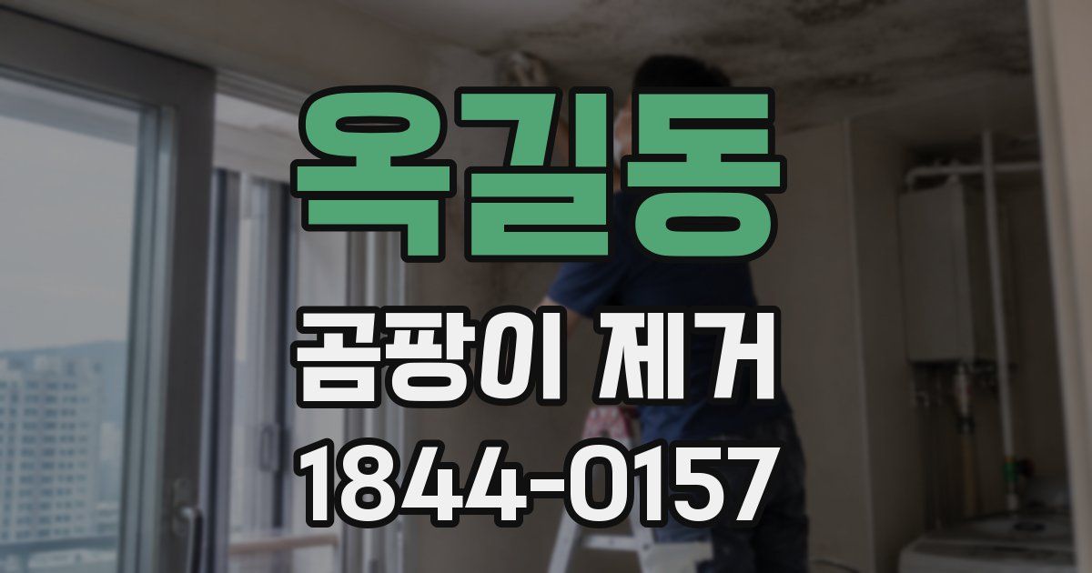 옥길동 곰팡이 제거