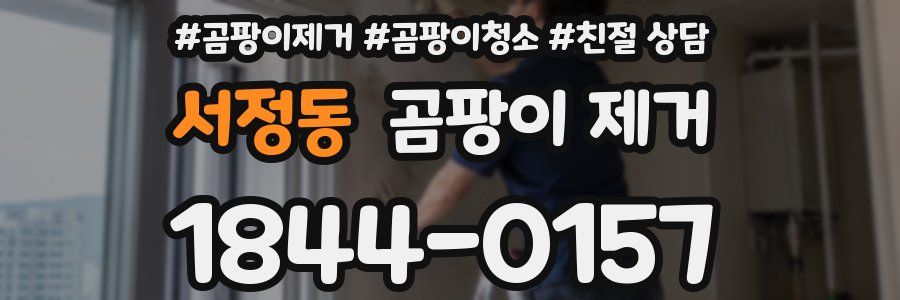 서정동 곰팡이 제거