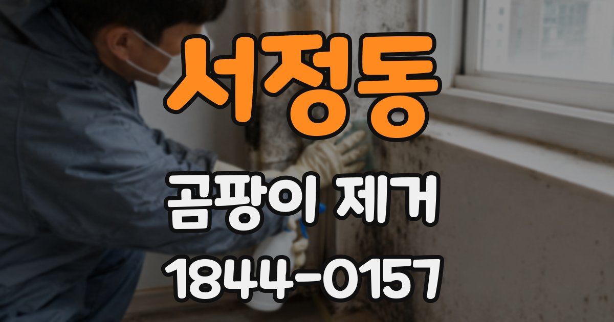 서정동 곰팡이 제거