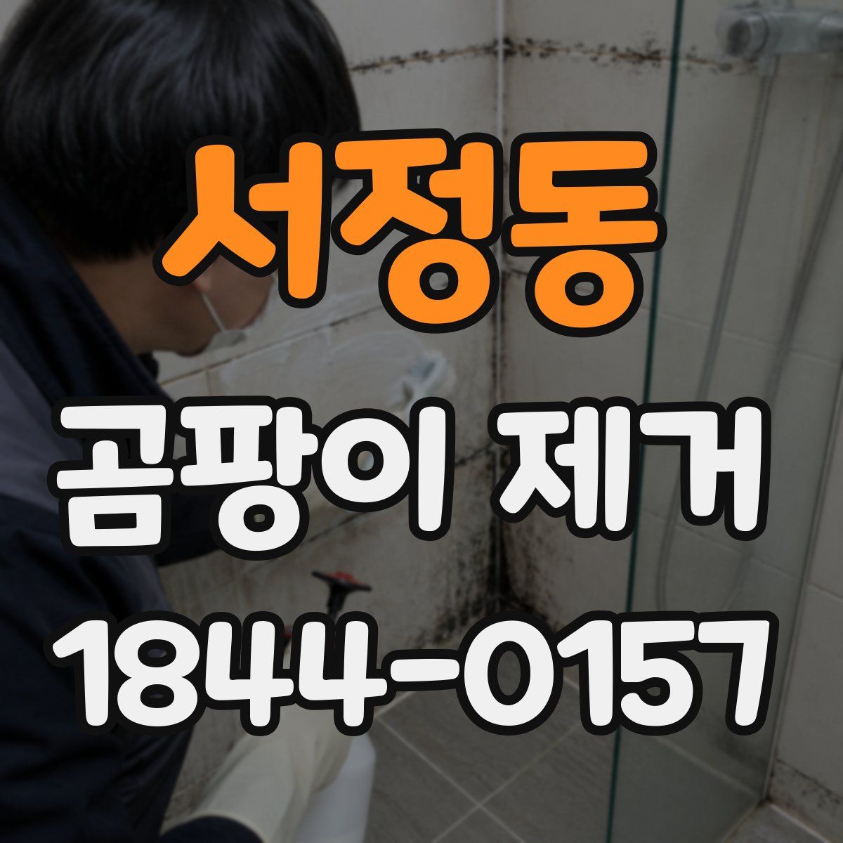 서정동 곰팡이 제거