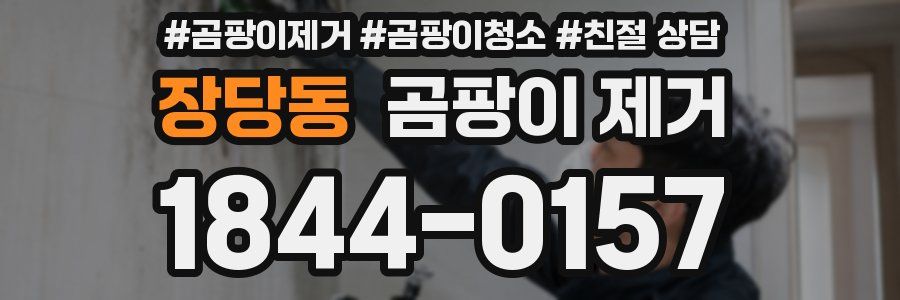 장당동 곰팡이 제거