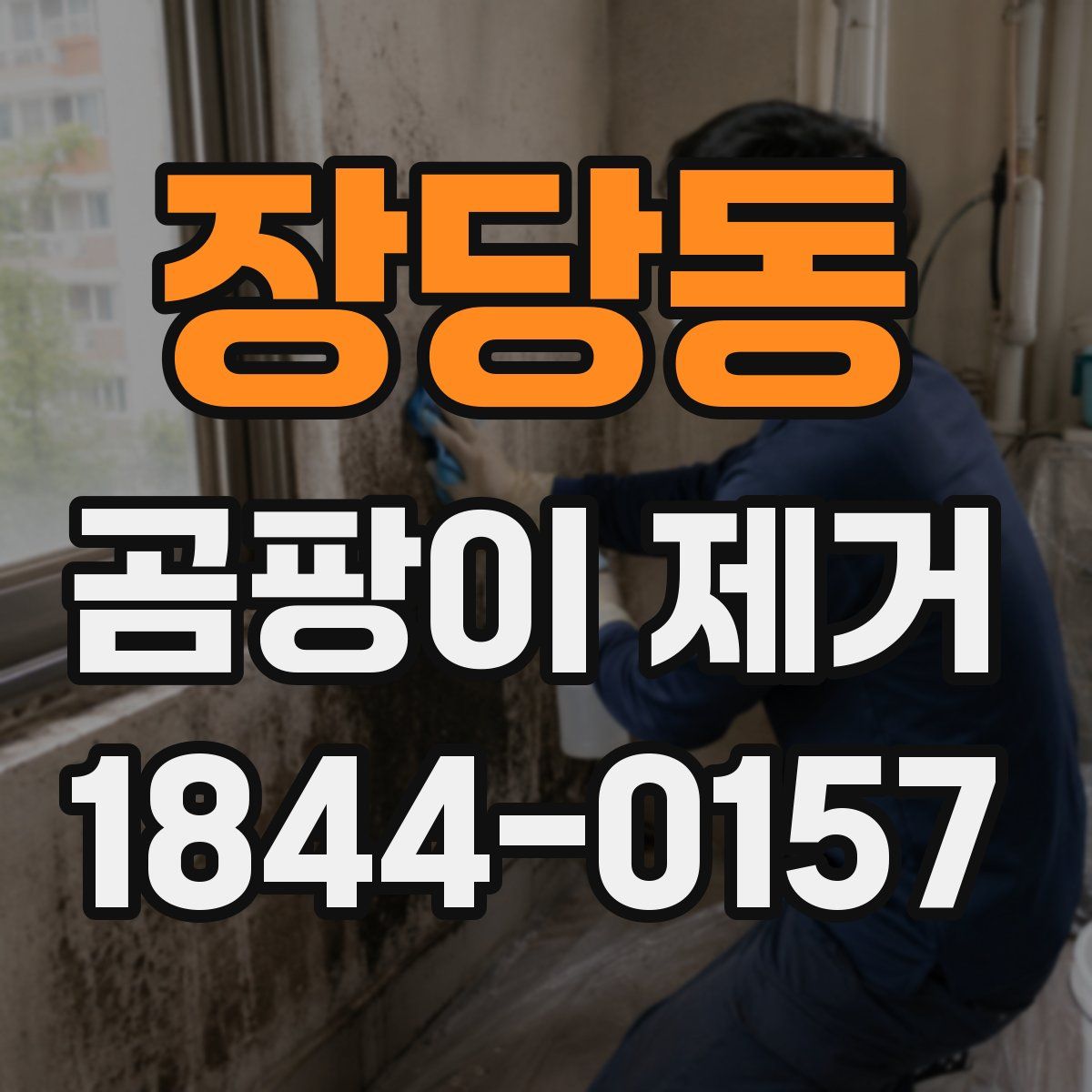 장당동 곰팡이 제거