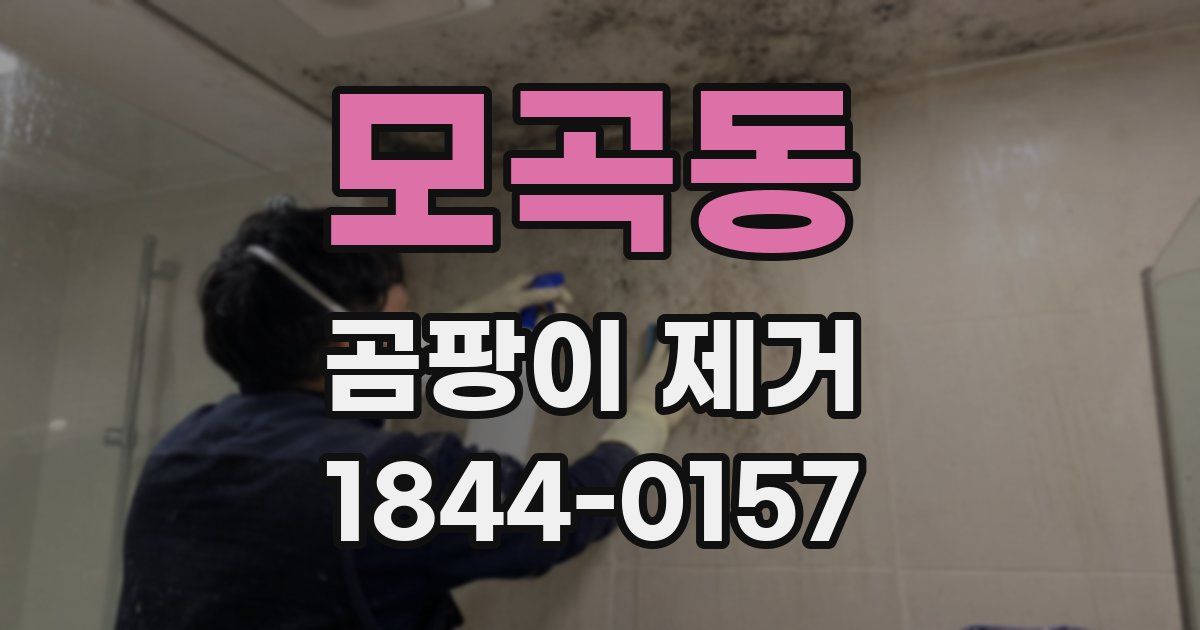 모곡동 곰팡이 제거