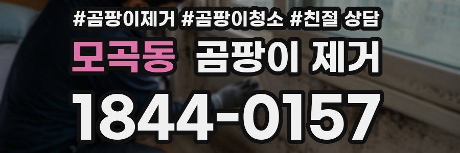 모곡동 곰팡이 제거