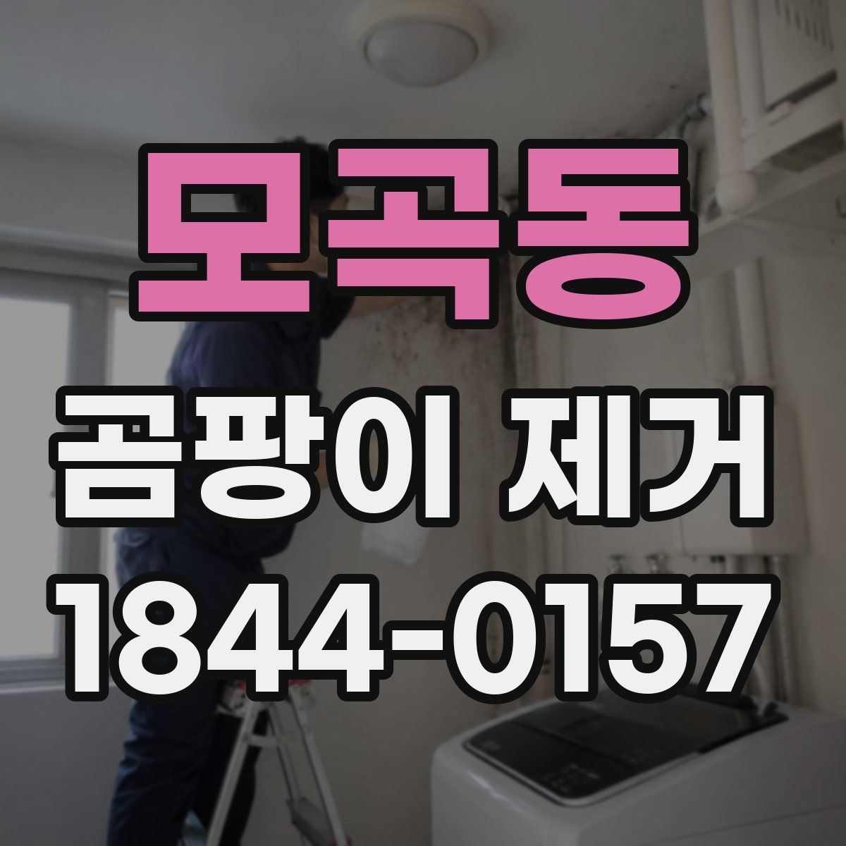 모곡동 곰팡이 제거