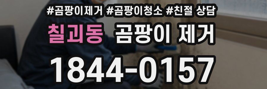 칠괴동 곰팡이 제거