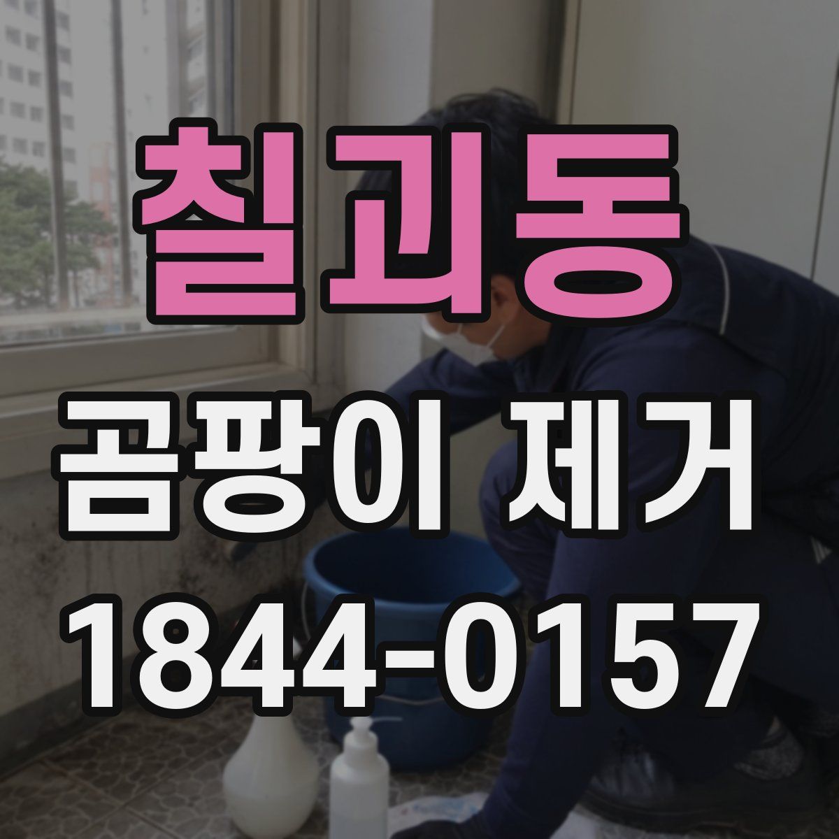칠괴동 곰팡이 제거