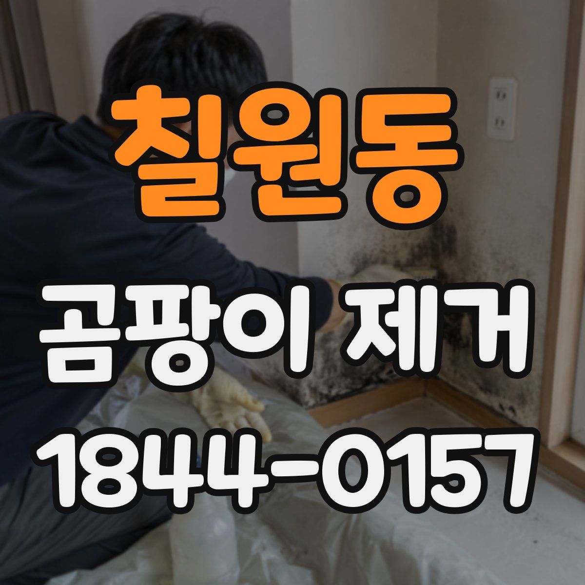 칠원동 곰팡이 제거