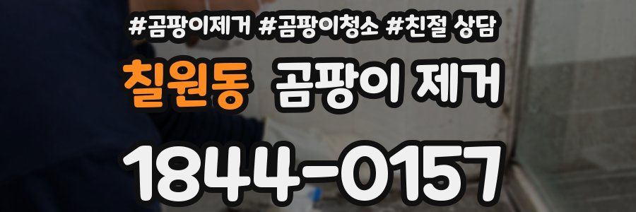 칠원동 곰팡이 제거