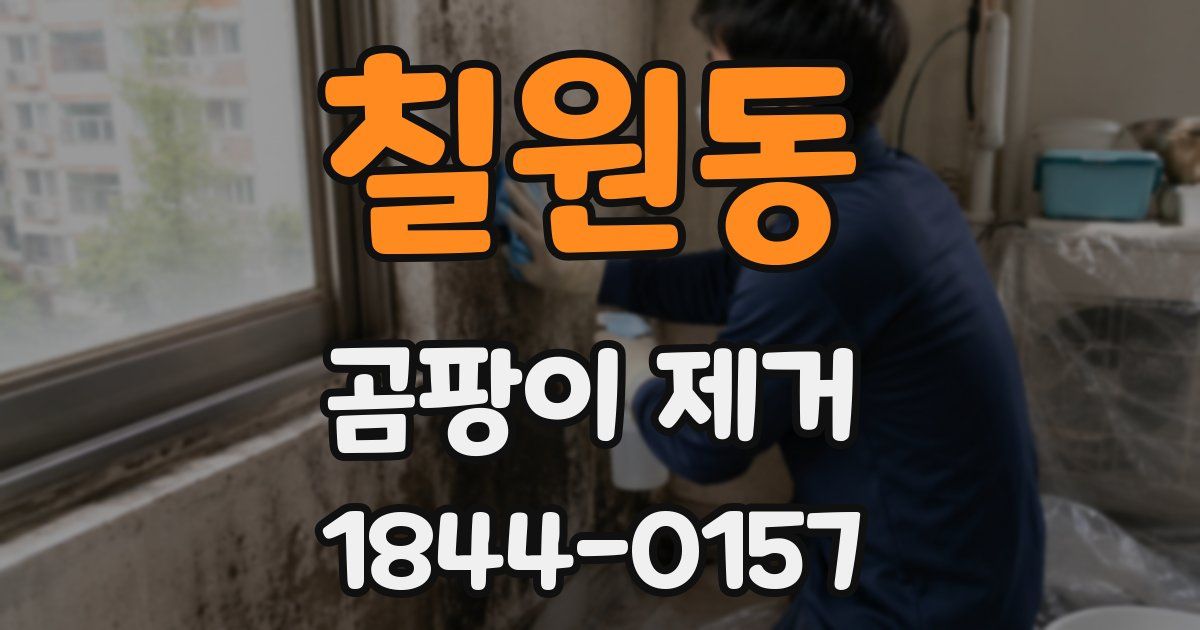 칠원동 곰팡이 제거