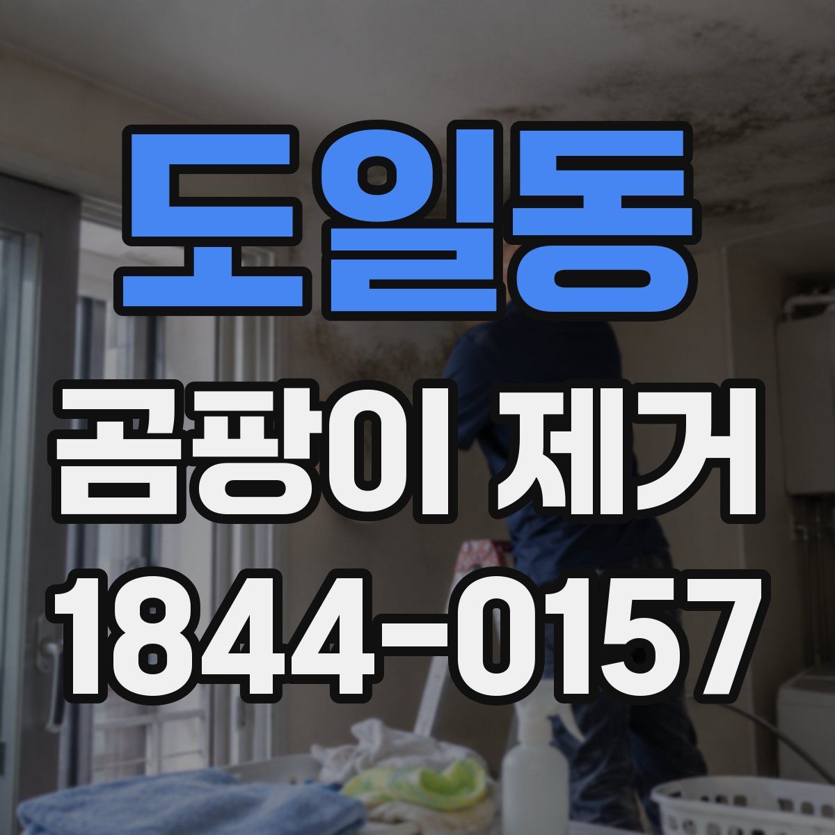 도일동 곰팡이 제거