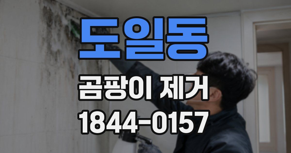 도일동 곰팡이 제거