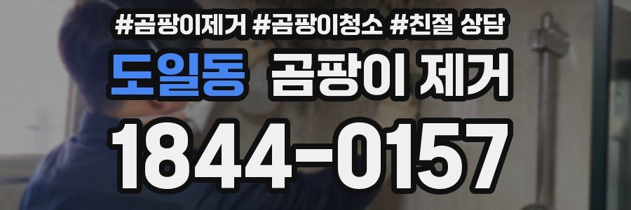 도일동 곰팡이 제거