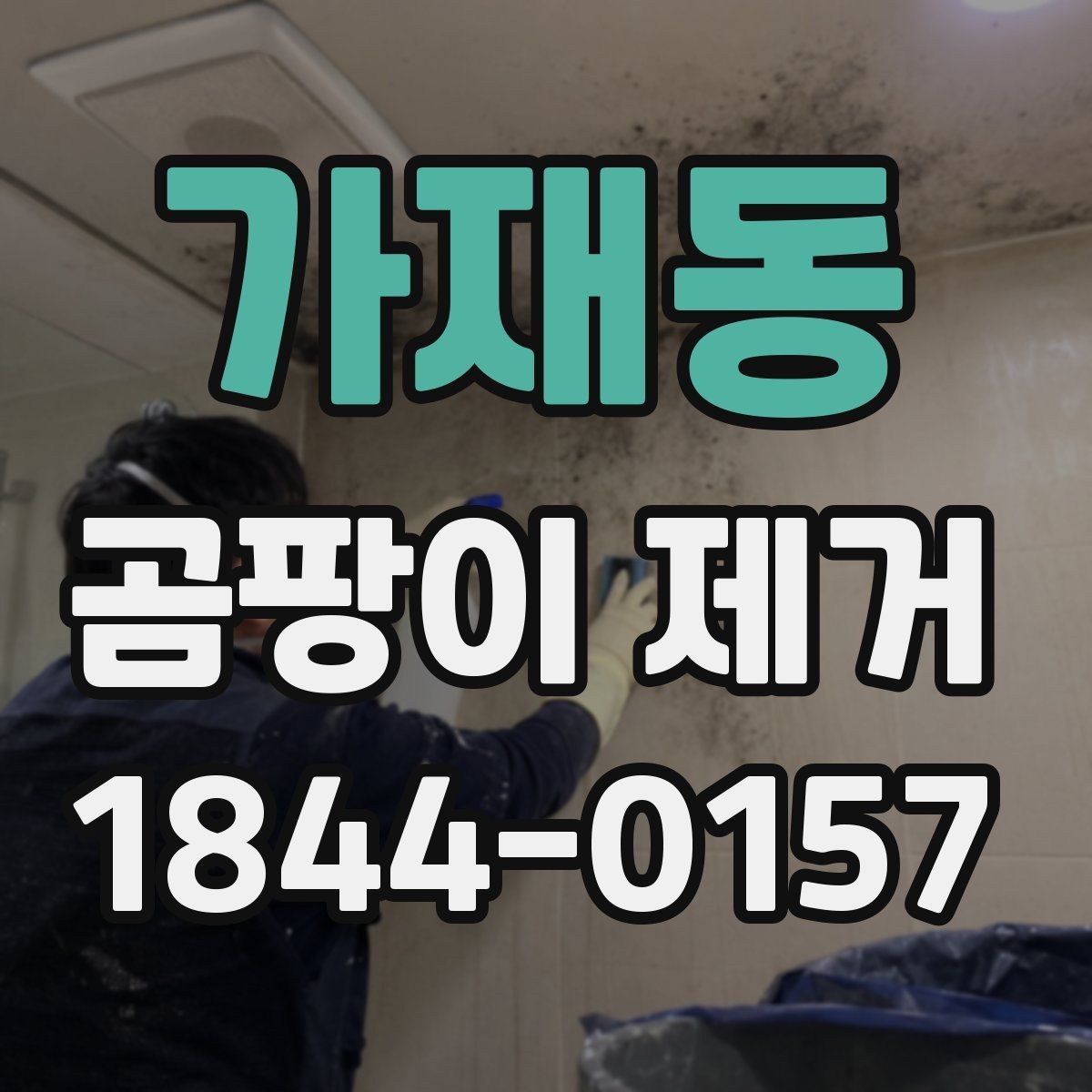 가재동 곰팡이 제거 시 벽지 손상을 줄이는 방법