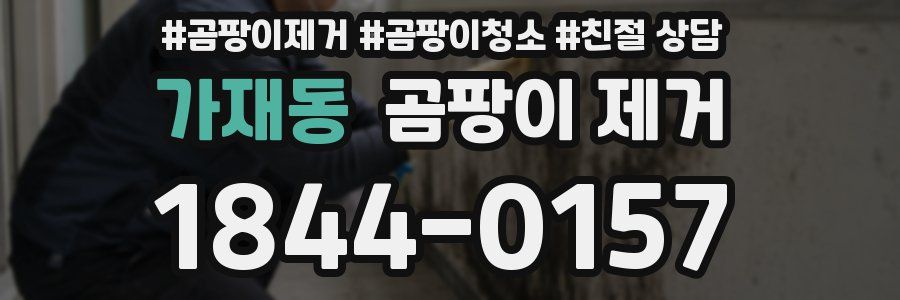 가재동 곰팡이 제거