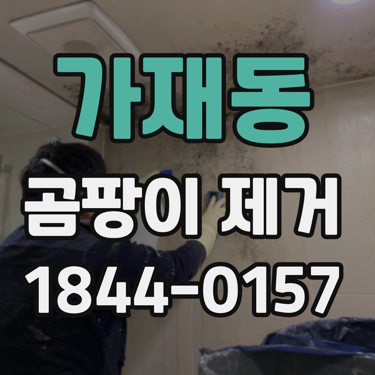 가재동 곰팡이 제거