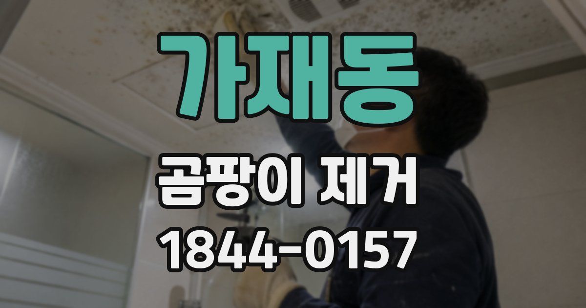 가재동 곰팡이 제거