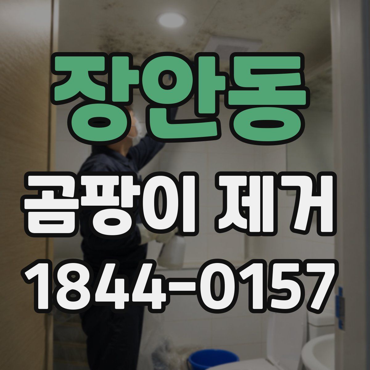 장안동 곰팡이 제거