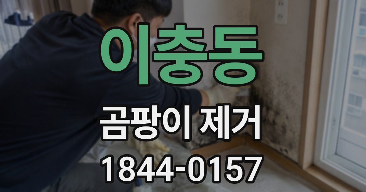 이충동 곰팡이 제거