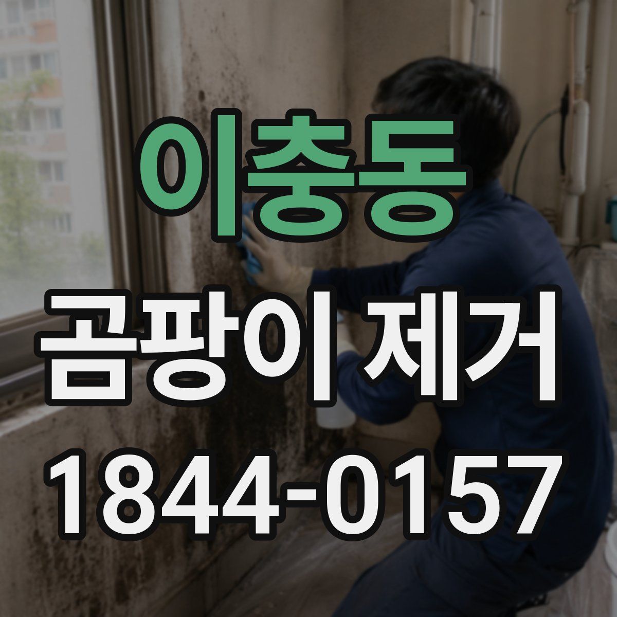 이충동 곰팡이 제거